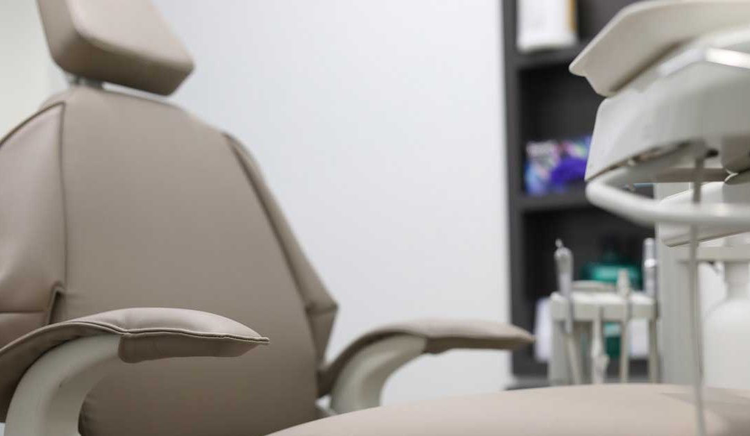 what are stem cells miami