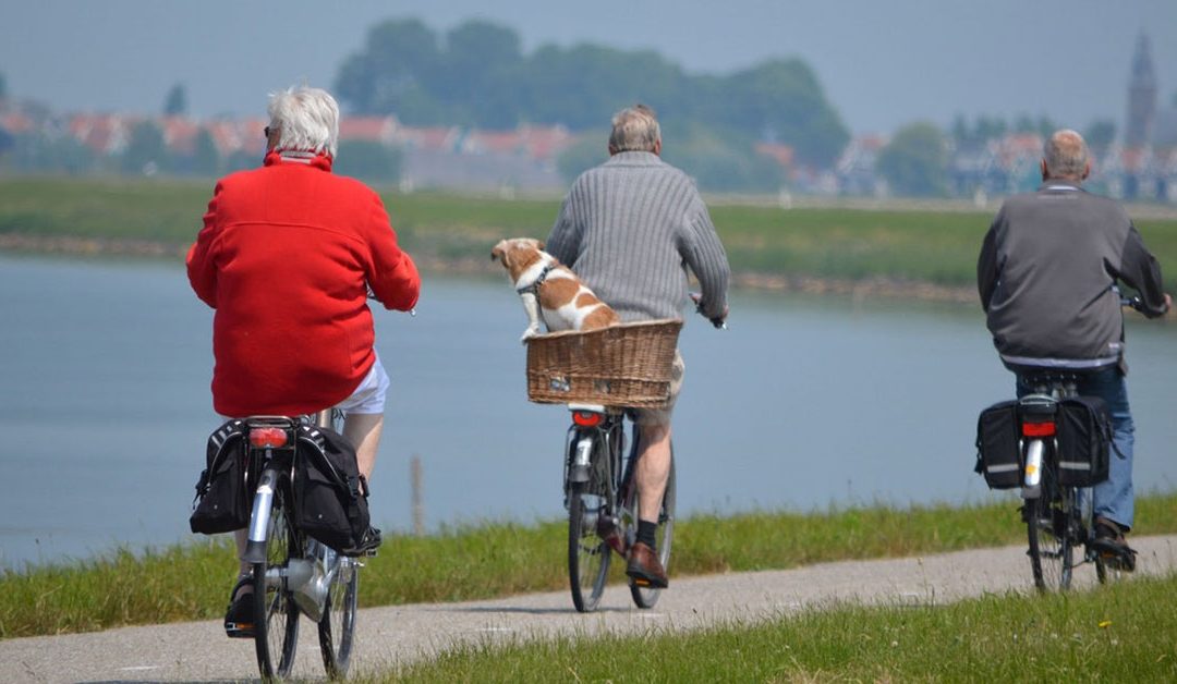 arthritis treatment in miami