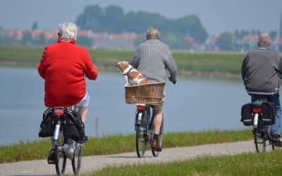 Stem Cell Therapy for Arthritis Treatment Can Lead to a Better Work Life