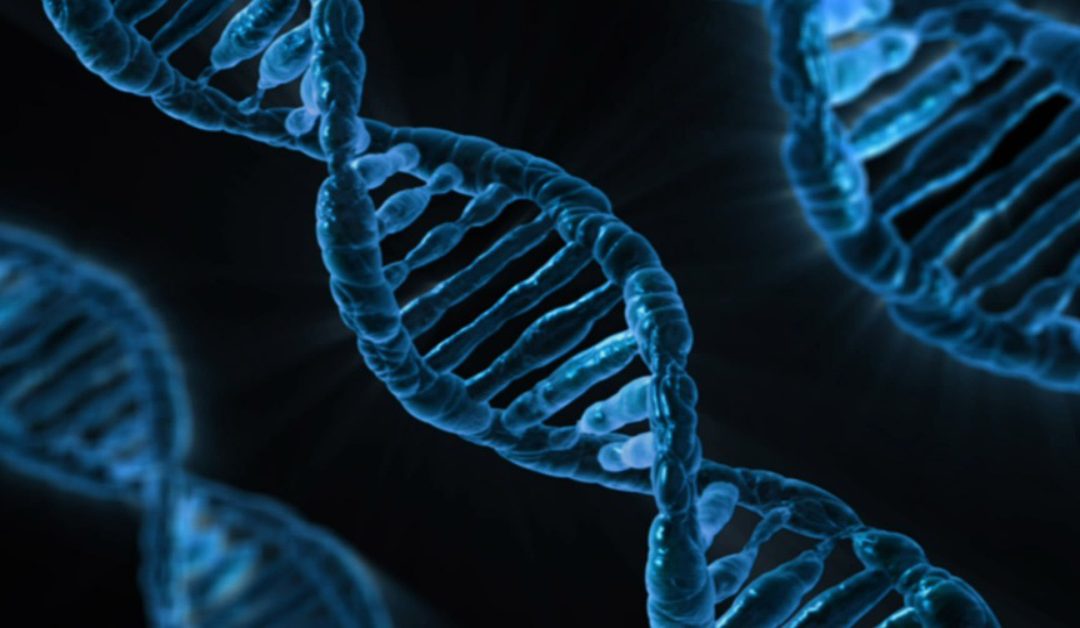 uses of stem cells in medicine Stem Cell Miami