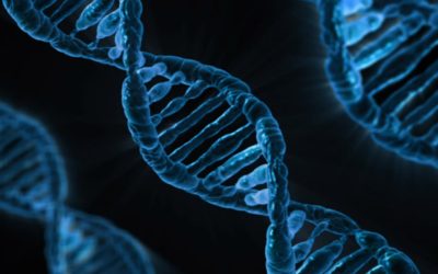 The Future of Regenerative Medicine
