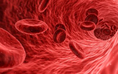 Better Defining Blood Stem Cells
