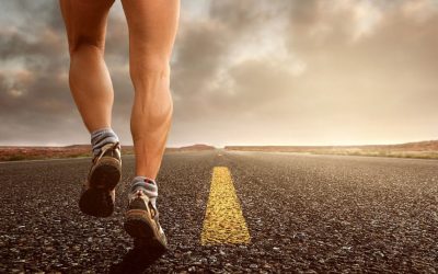Stem Cells: A Solution for Cartilage Regeneration