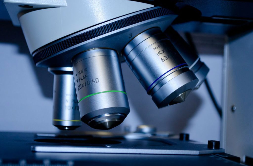 stem cell research in miami 1024x678