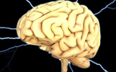 Have You Heard About Pathwaves?