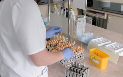 What Are the Sources For Stem Cells Used in Regenerative Therapy?