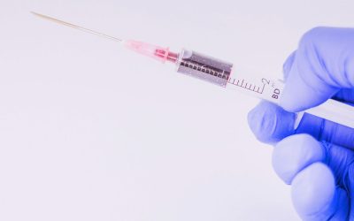 Why Fat Cells Are Best for Knee Cartilage Regeneration