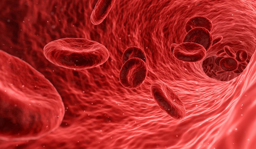How Are Stem Cells Being Used in Treating Cancer?