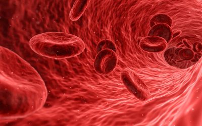 How Are Stem Cells Being Used in Treating Cancer?