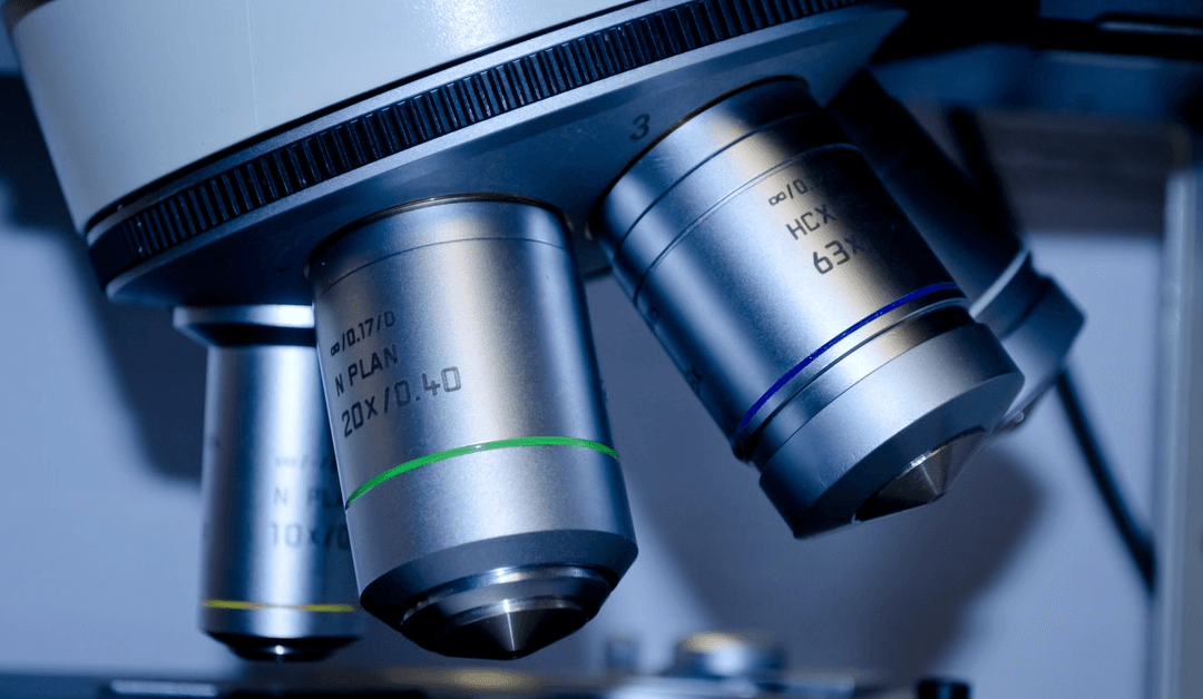 stem cell regulations at Miami