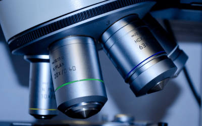 How Are Stem Cells Being Regulated Right Now?