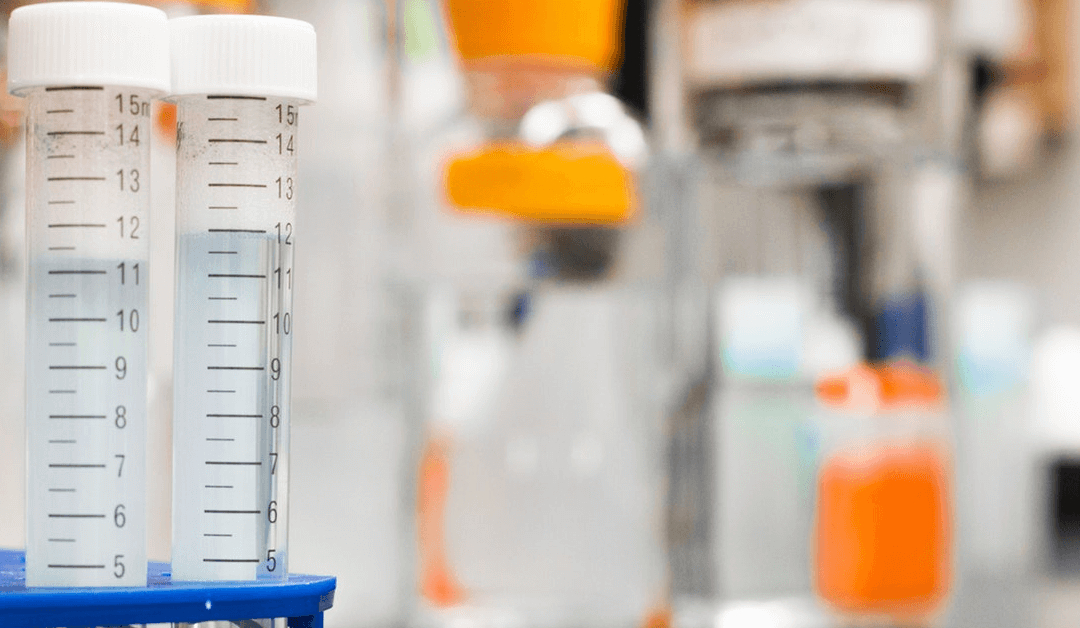 stem cell therapy for elderly at Miami