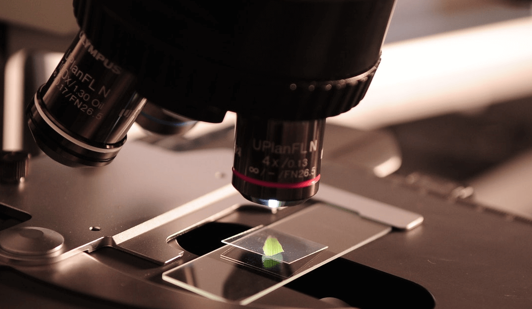 stem cell promotions in Miami