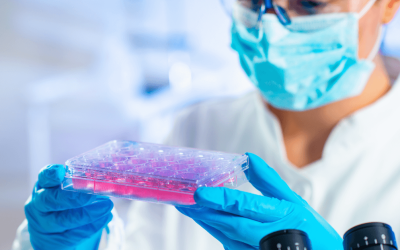 Researchers able to test if blood plasma of coronavirus survivors can protect health care workers