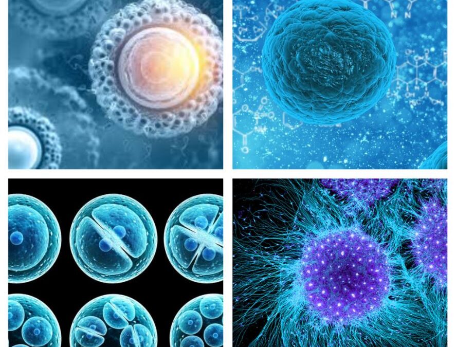 Stem Cell Therapy Treatment For COPD / Clinical Trial