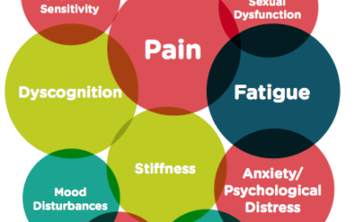 Stem Cells: New treatment option for Fibromyalgia sufferers.