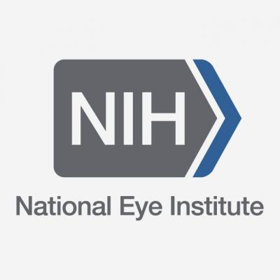 First U.S. clinical trial of autologous stem cell therapy to replace dying cells in retina.