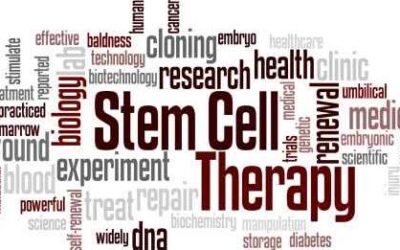 40 Pro Athletes Who Have Had Stem Cell Treatments