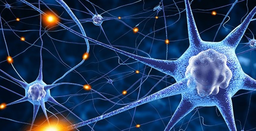 How does Stem Cell & PRP therapies work?