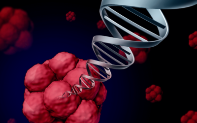 How Stem Cell Research is Transforming Medicine