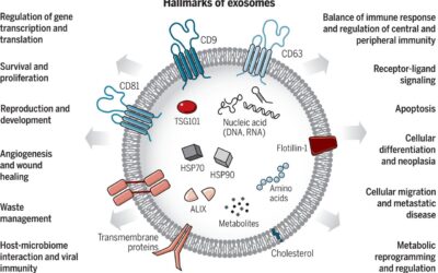 Advances of Exosome-Based Therapeutics in the Clinic