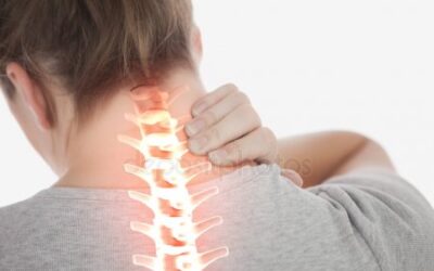 Neurosurgeons use adult stem cells to grow neck vertebrae