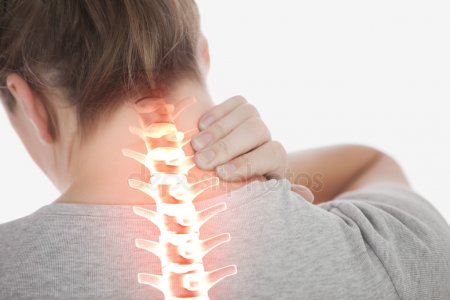 Neurosurgeons use adult stem cells to grow neck vertebrae