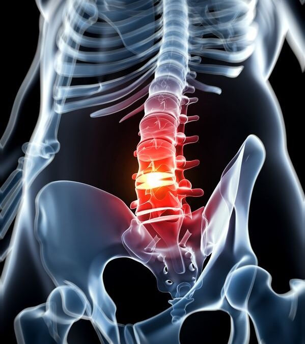 Stem Cells and Intervertebral Disc Regeneration Overview—What They Can and Can’t Do
