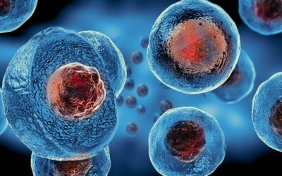 UF Center for Regenerative Medicine recruiting for trial on potential therapy for autoimmune disorders