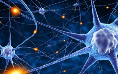 Reversing symptoms with cell and gene therapies Rewriting the Future of Healthcare