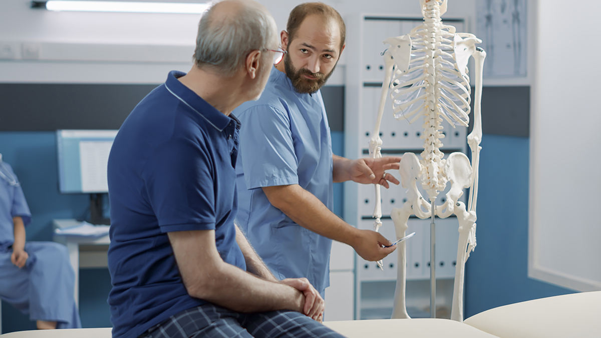 Osteopathy specialist explaining spinal cord system on human skeleton