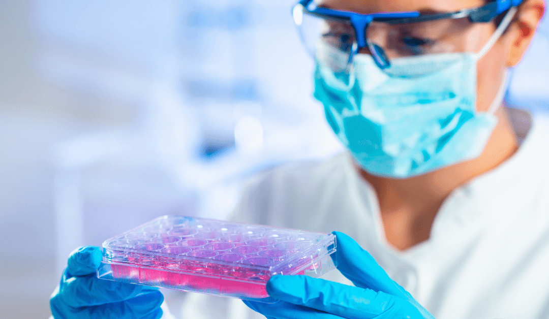PRP Therapy vs. Stem Cell Therapy: What’s the Difference?