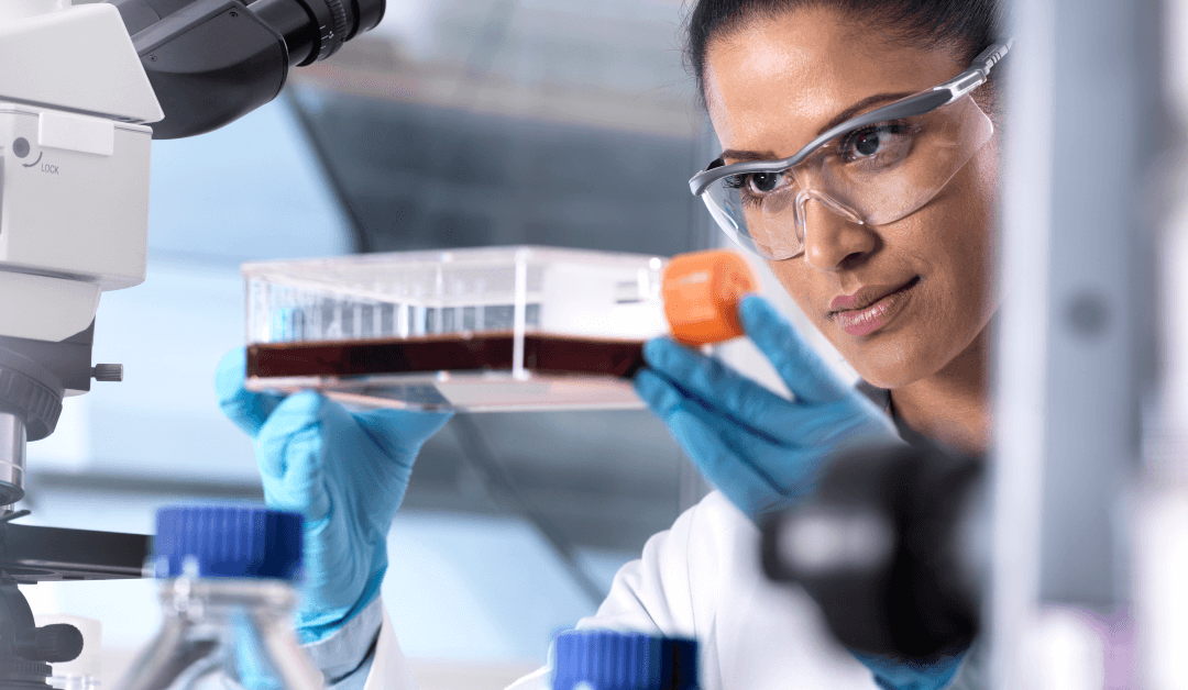 Allogeneic vs. Autologous Stem Cell Transplant: Which is Right for You?
