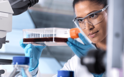 Allogeneic vs. Autologous Stem Cell Transplant: Which is Right for You?